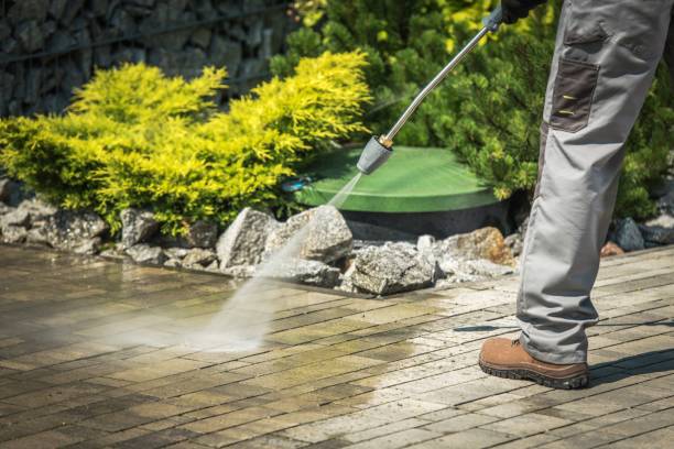 Trusted Llano Grande, TX Pressure Washing Services Experts